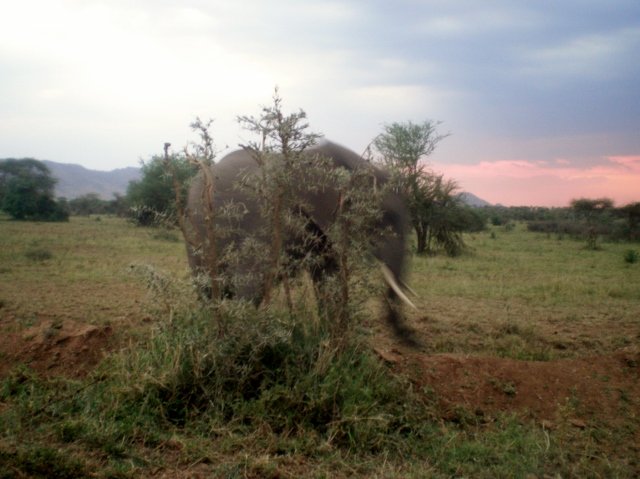 Tanzania 056